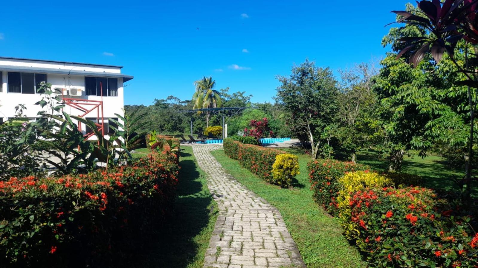Hotel Los Leones Palenque Εξωτερικό φωτογραφία
